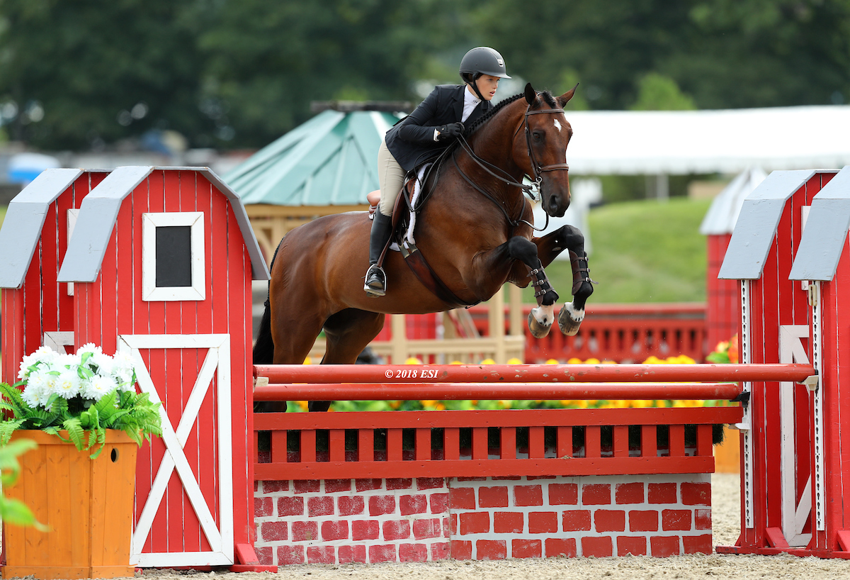 2018 USHJA Hunterdon Cup-East Coast Champion Daisy Farish. Credit: ESI Photography