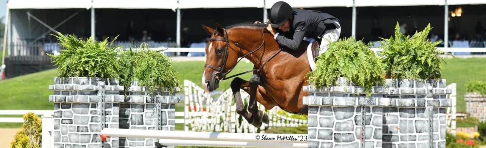 French and Paradigm Level Up in Platinum Performance/USHJA
