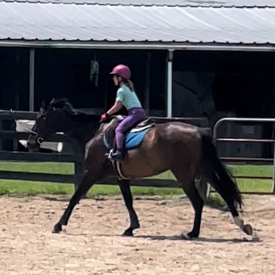 Driftwood Stable_Smoothie_Sondra Makowski 4.jpeg
