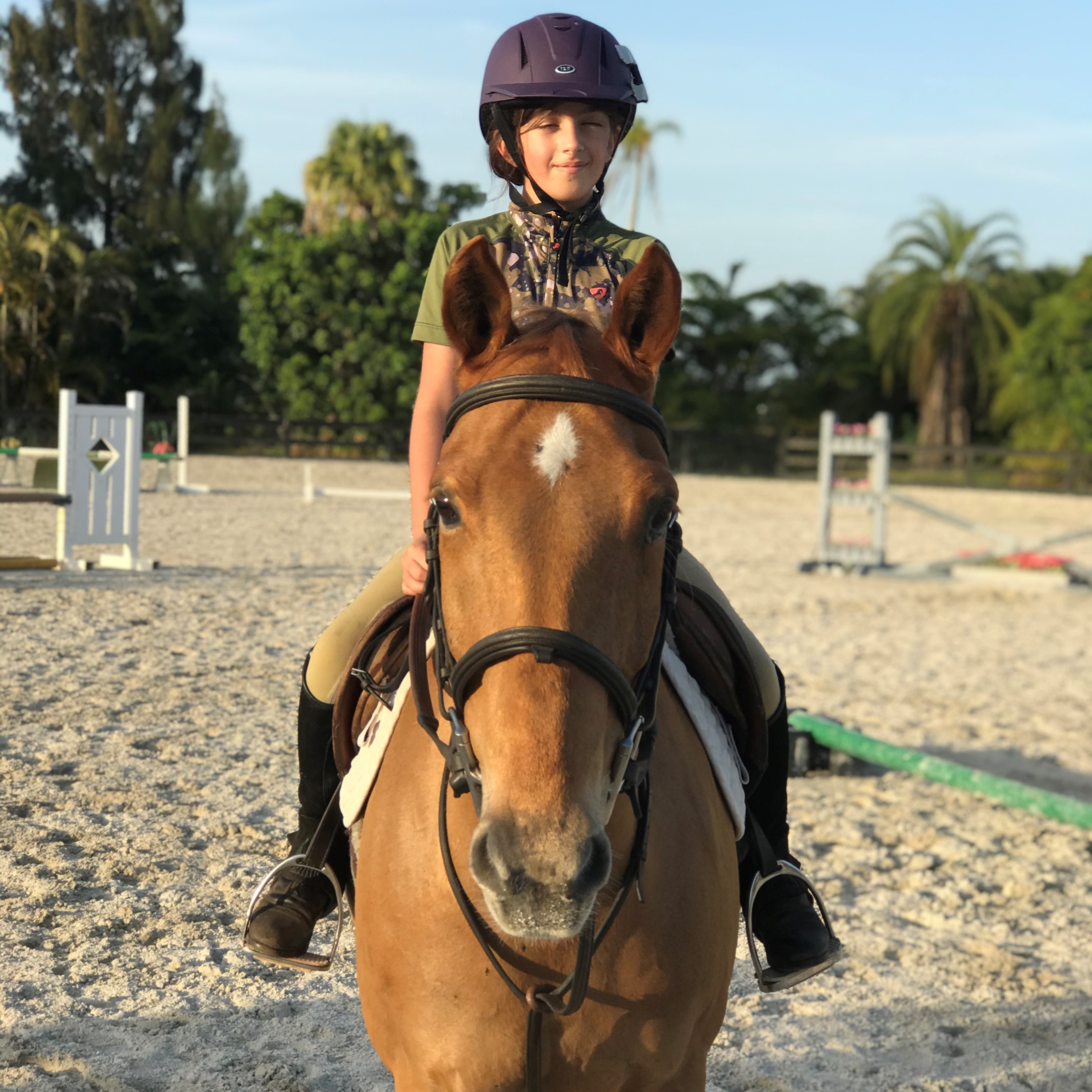 Four Gs Equestrian_Emperor_PC Ally Mora 2.jpeg