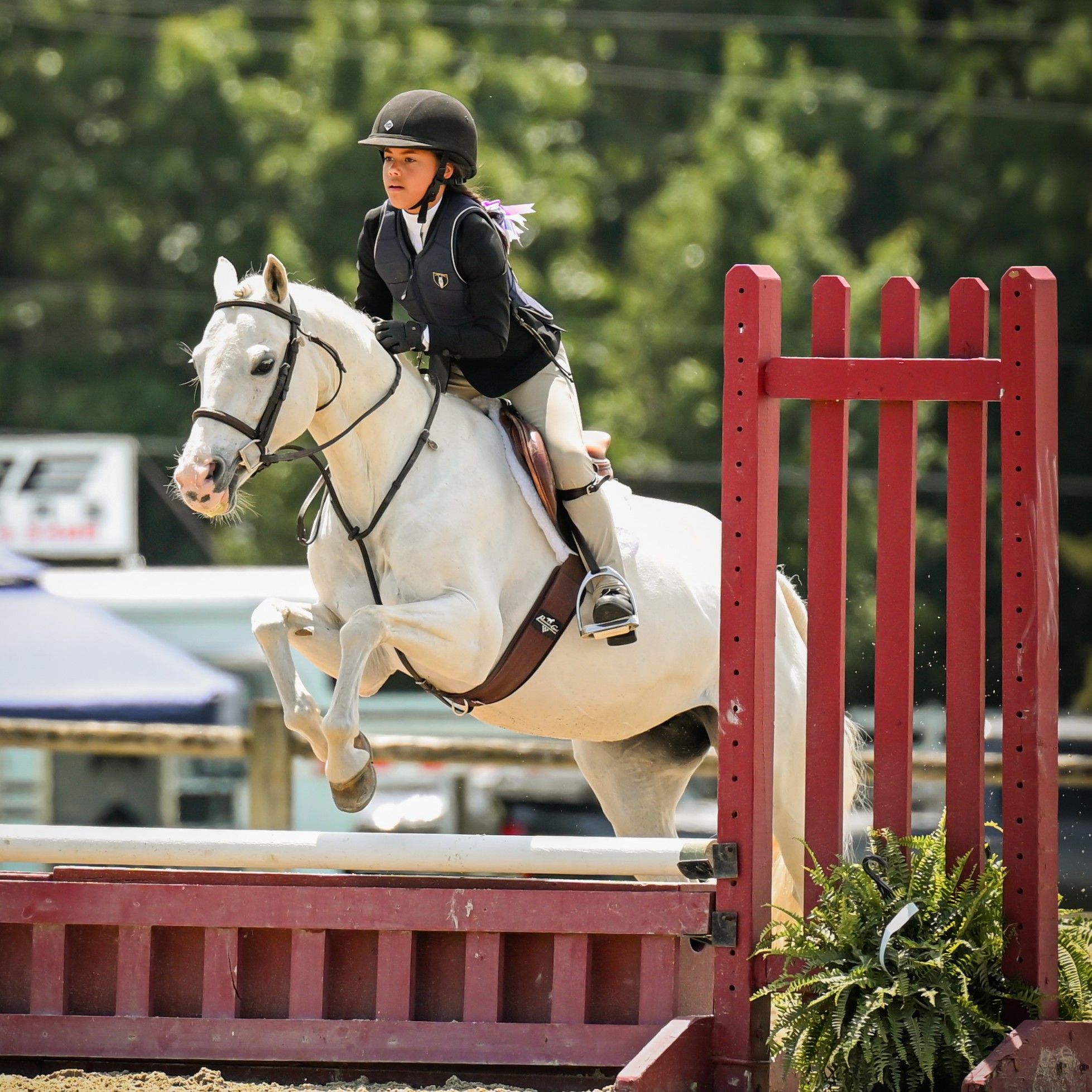 Fountain Greene_Dreamy_PC Hannah Jones Photog.JPG