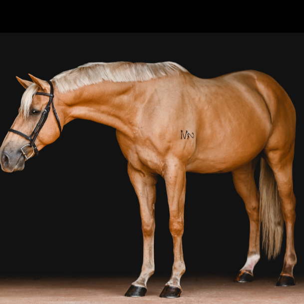 EvRMoore Equine_Under the Oaks_PC EvRMoore Equine.png