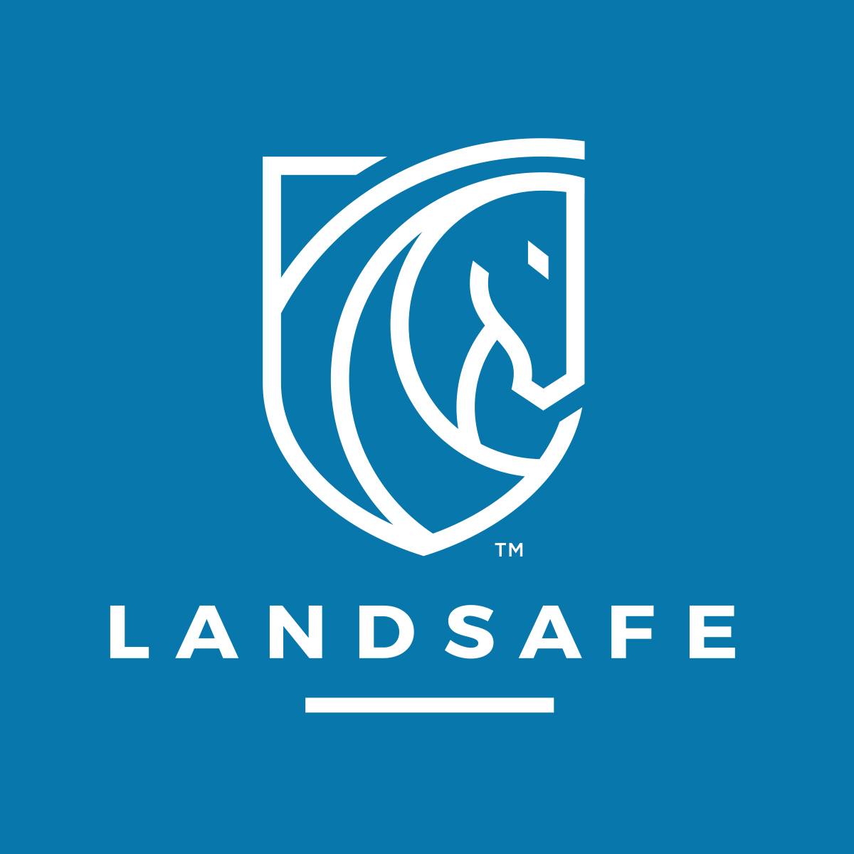 landsafe logo.jpg