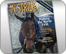 icon_InStride.jpg