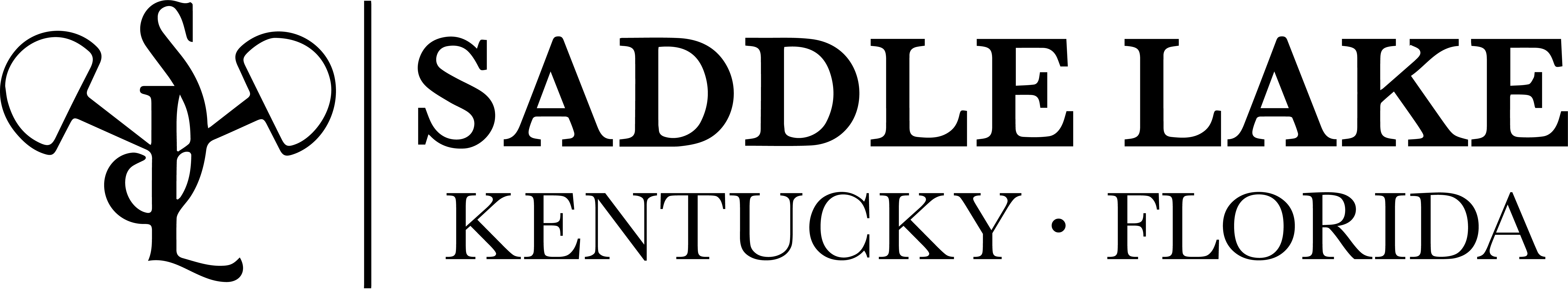 SaddleLake.jpg