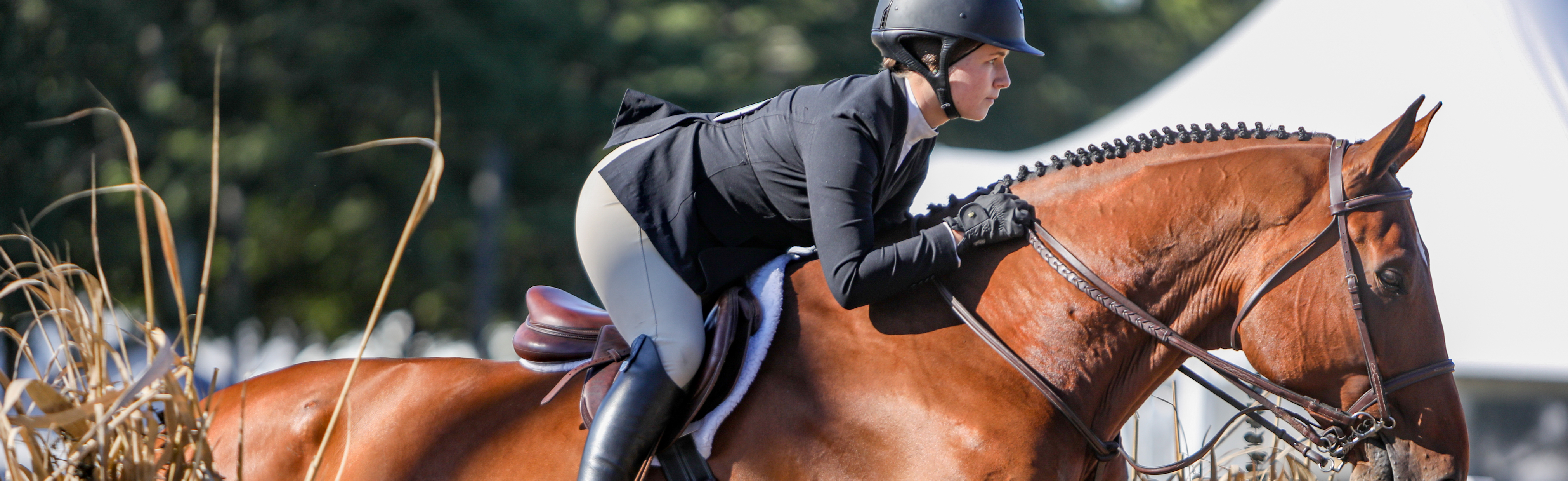 2018 USHJA Foundation JT Tallon Memorial Equitation Grant Recipient, Frances McGivern