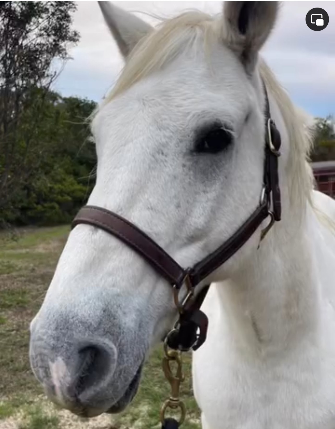 Honor Roll_Hill Country_PC Stephanie Cook.jpg