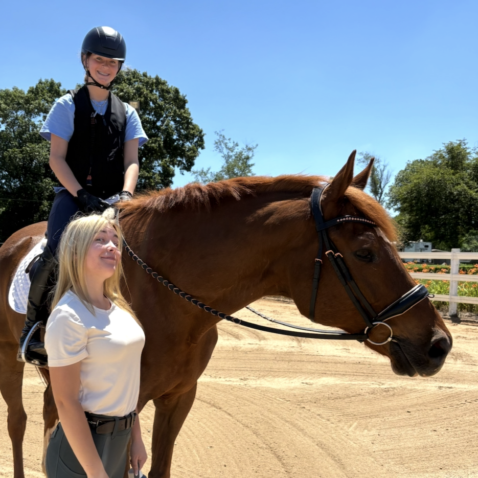 EvRMoore Equine_Hammy_PC EvRMoore Equine.png