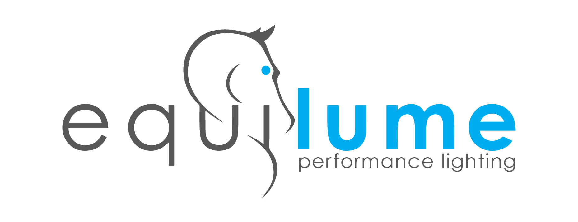 Performance Lighting Brand grey CMYK-01.png