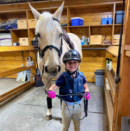 Ighani Sporthorses_Waffles_PC Ighani Sporthorses 3.png