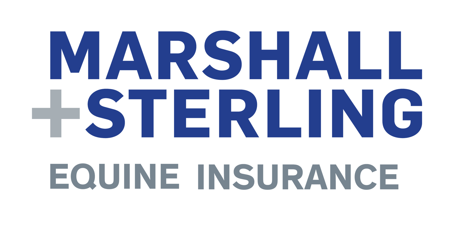 New_Logo_Square_MS_2024.png