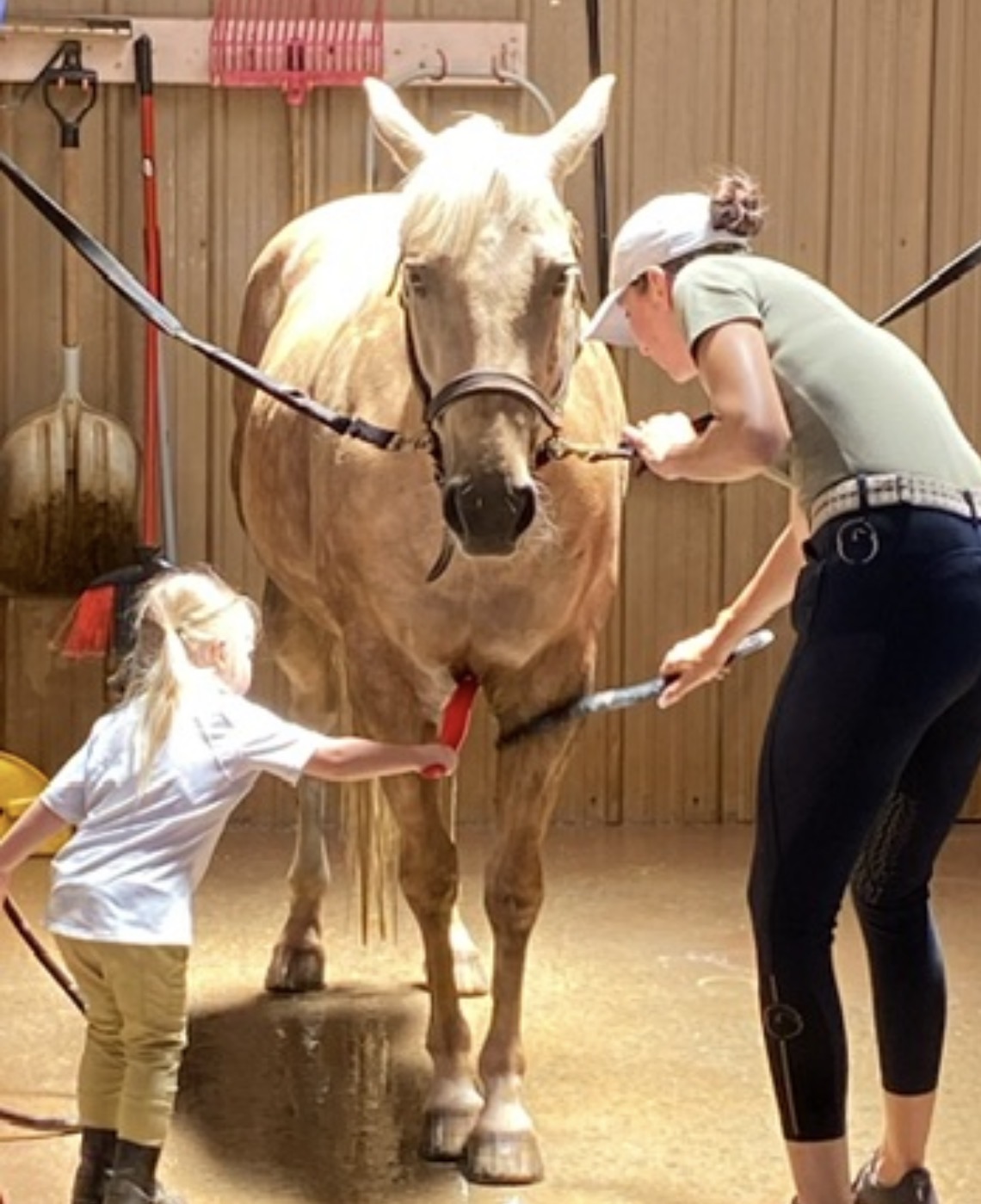 EvrMoore_Loralye_PC EvRMoore Equine.jpeg
