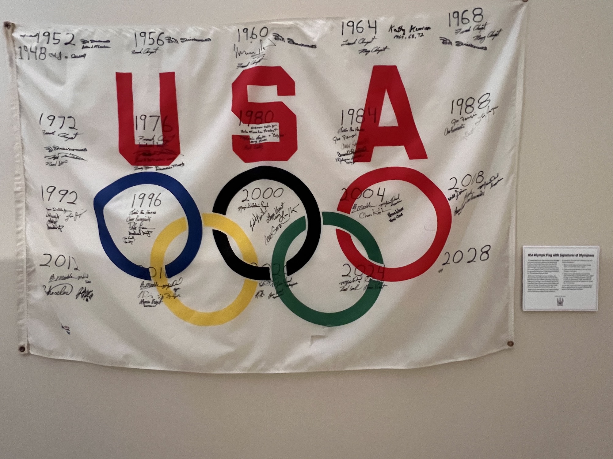 Olympic Flag copy for webpage.jpeg