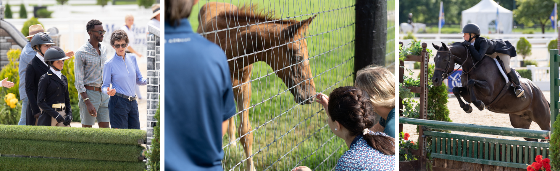 USHJA Foundation Announces 2019 Gochman Grant Recipients