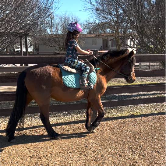 Mille_PC Gale De Rosa.png