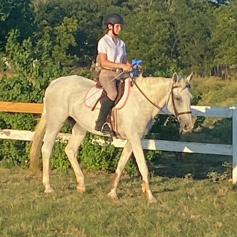 Boca Riding Club_Misty_PC Suzanne Joan Warmack 1 web.jpg