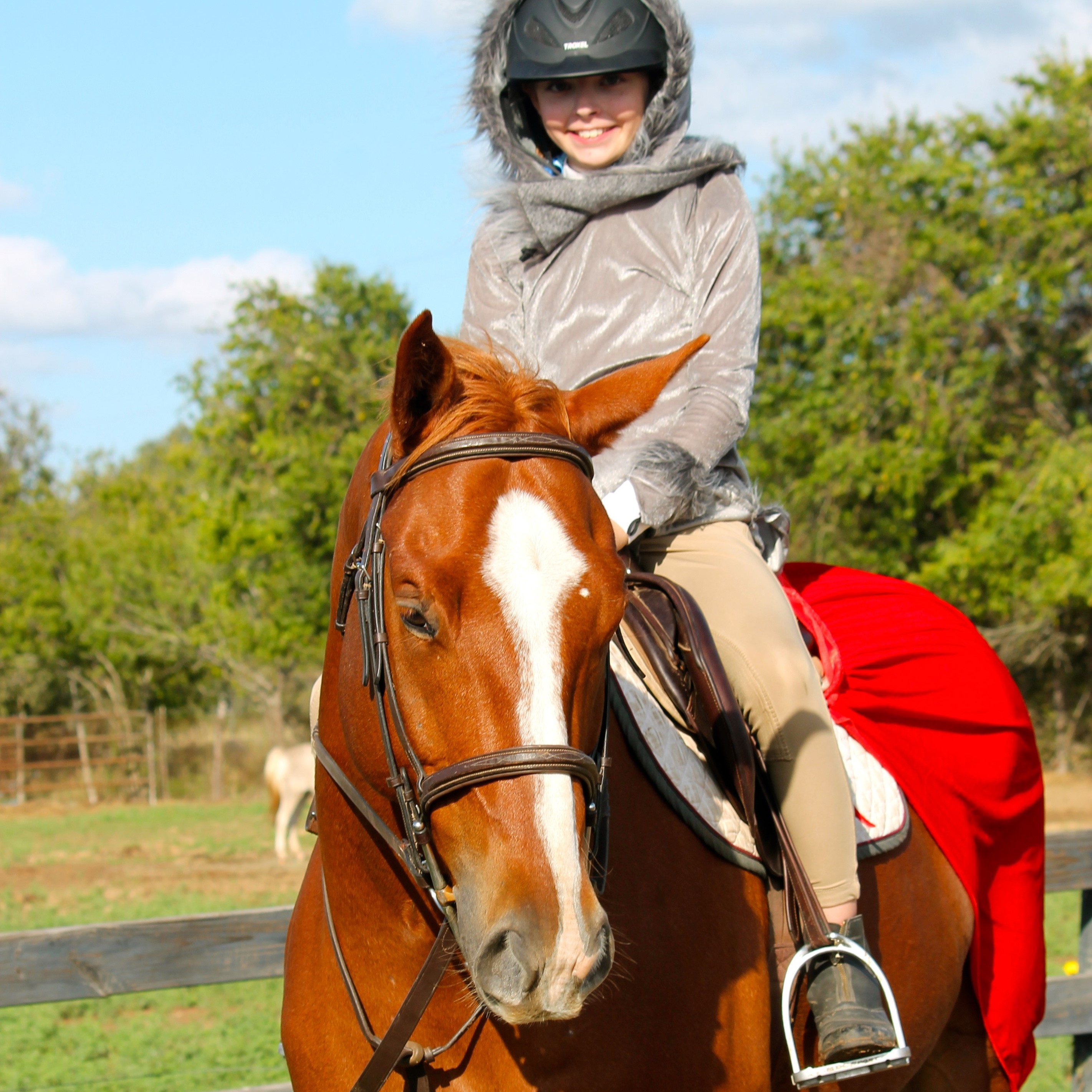 Sunny Fox Farms_Caberneigh aka Red_PC SFFphotos web.jpeg