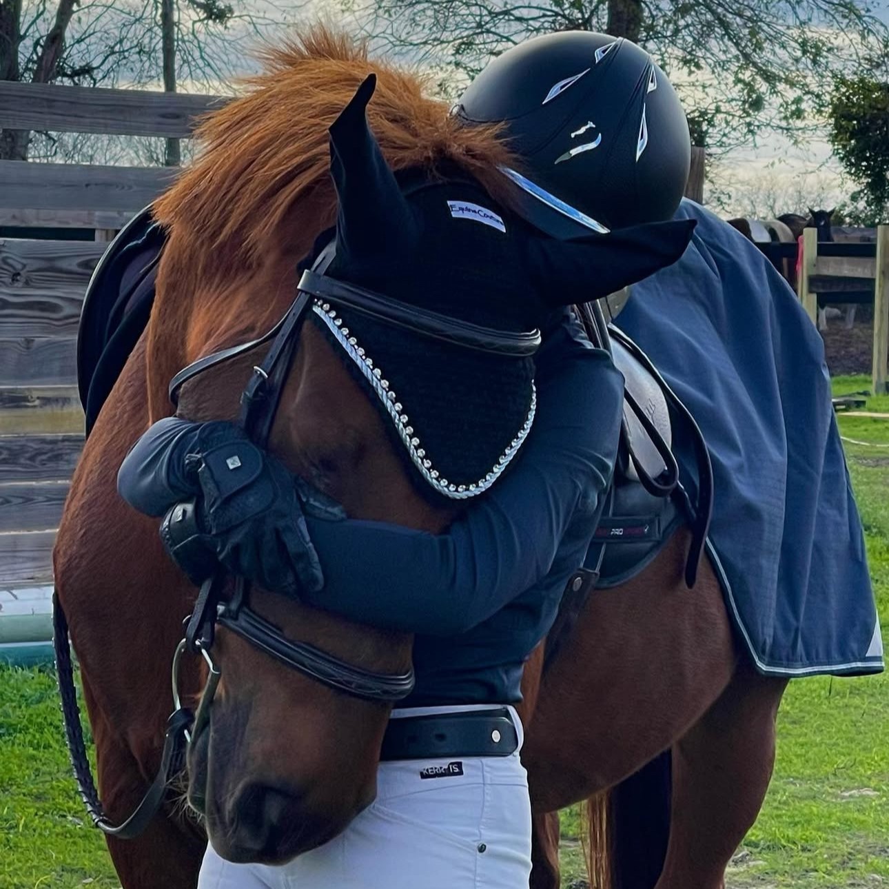 Victory Stables_Simba_PC Cory Valenzuela.jpeg