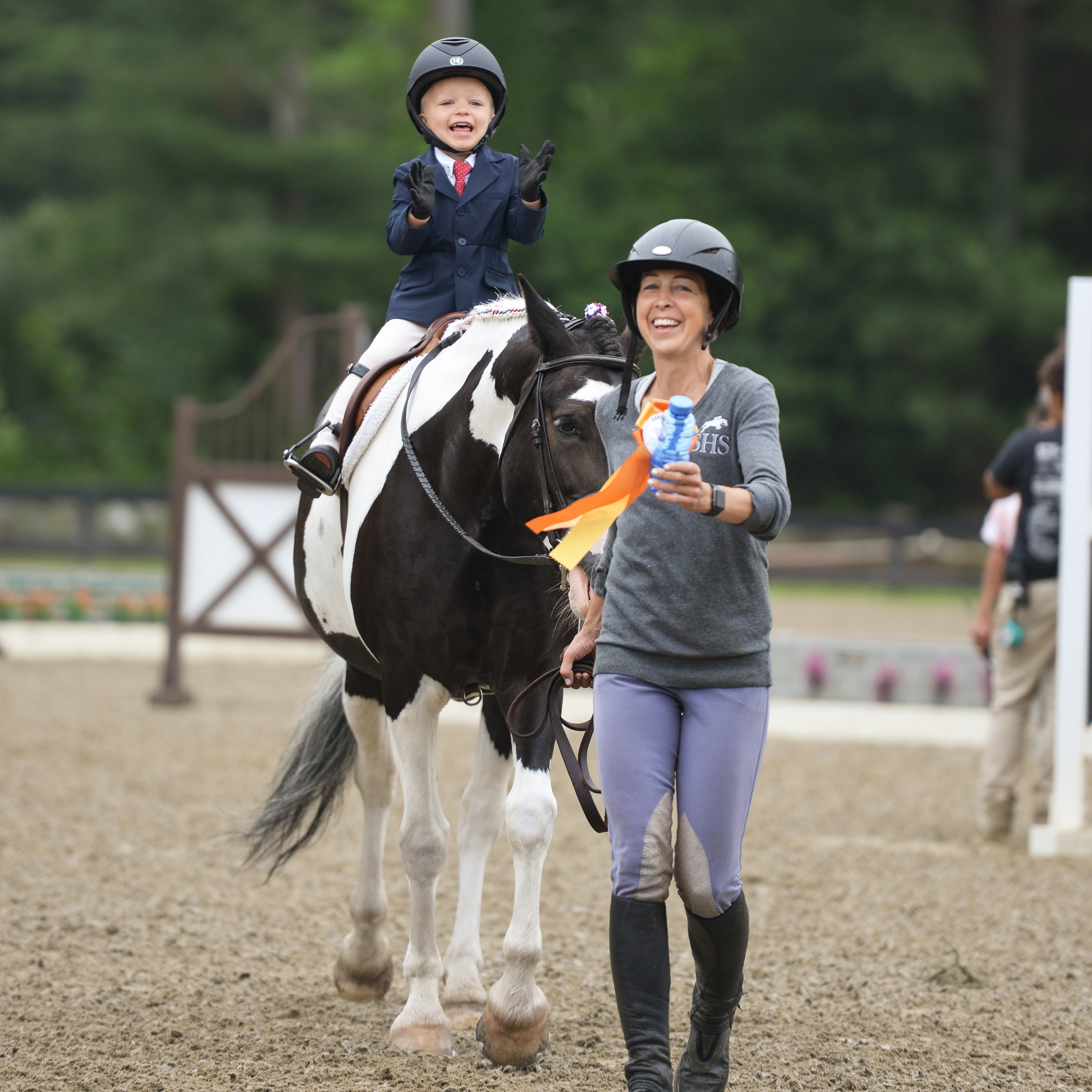 Seahorse Stables_Cricket_PC Hilary Turner.jpg