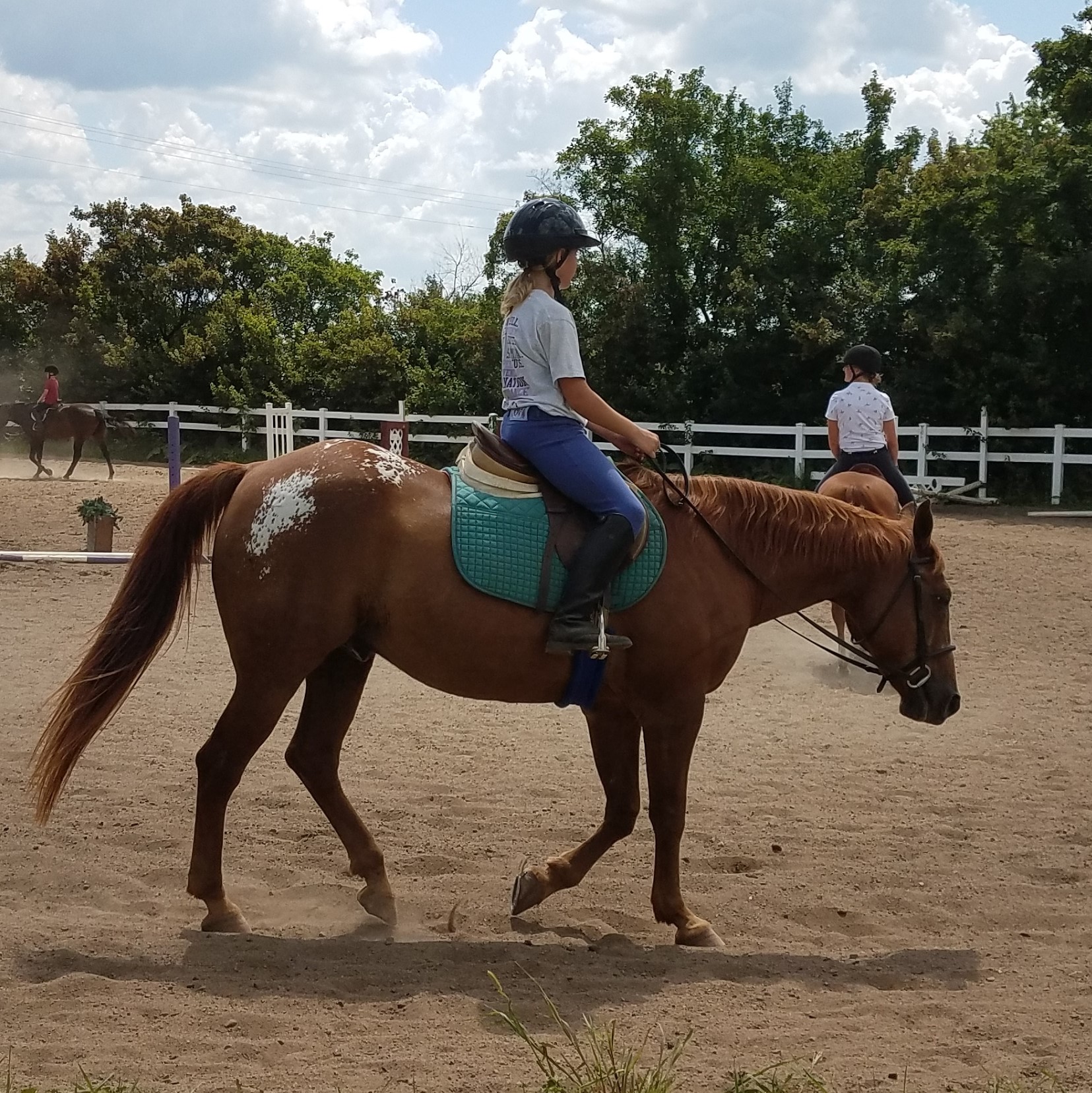 Turn Crest Stable_Monty_PC Vicki Holst.jpg