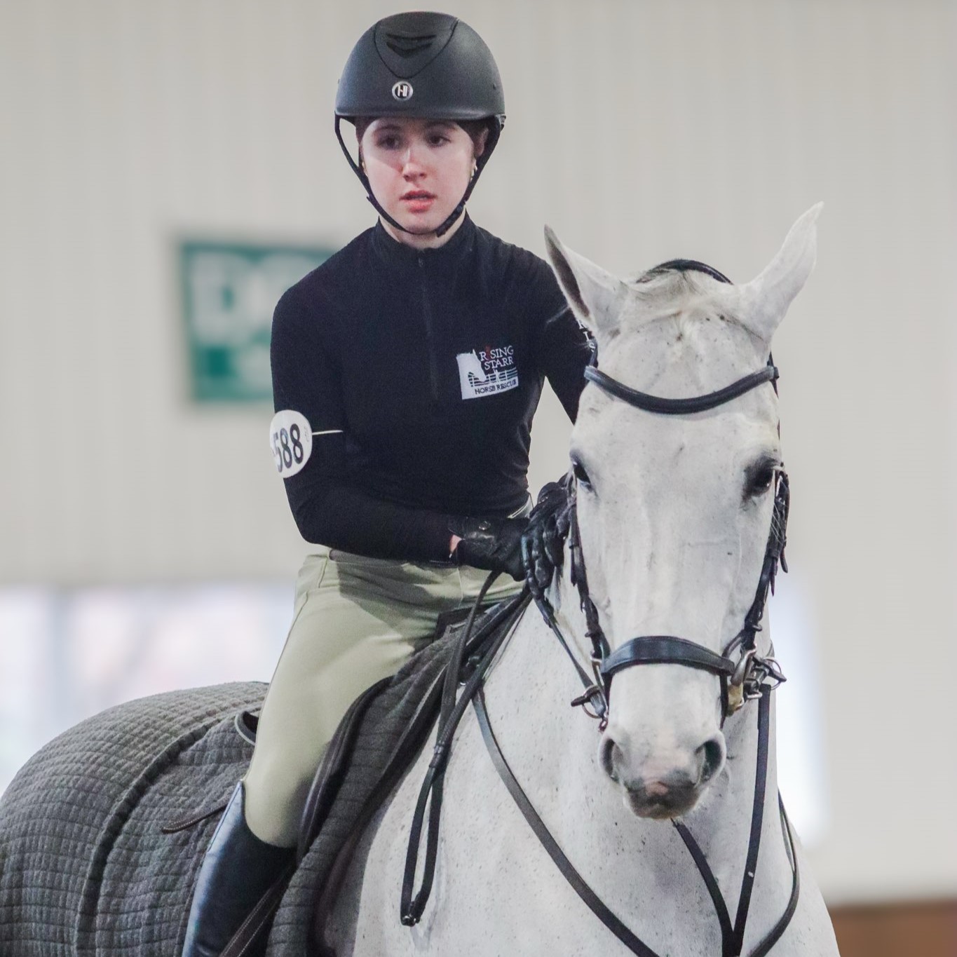 Rising Star_Lion_PC Natalia.jpg