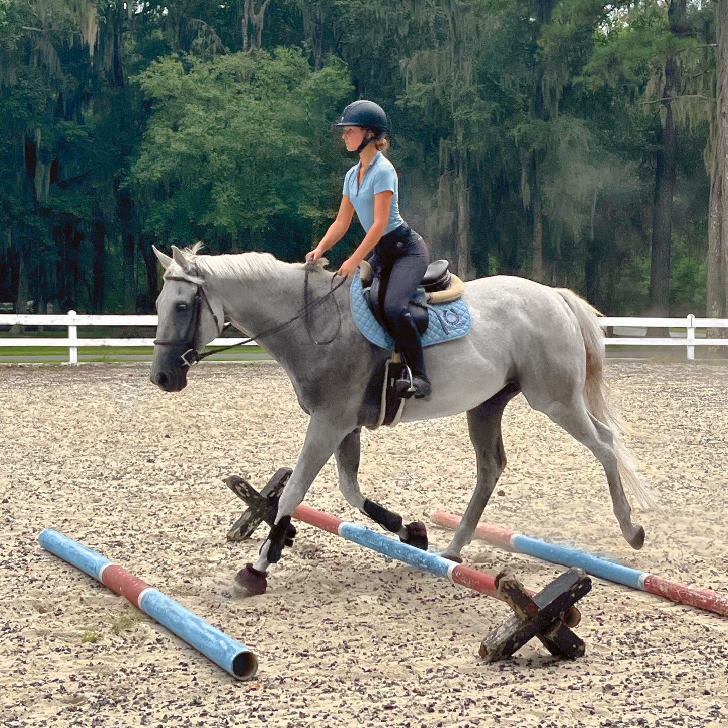 Haig Point_Finn_PC Marlene Makowski.jpg