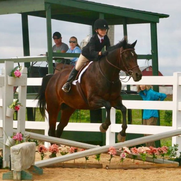 Turn Crest Stable_Zanzibar_PC Vicki Holst web.jpg